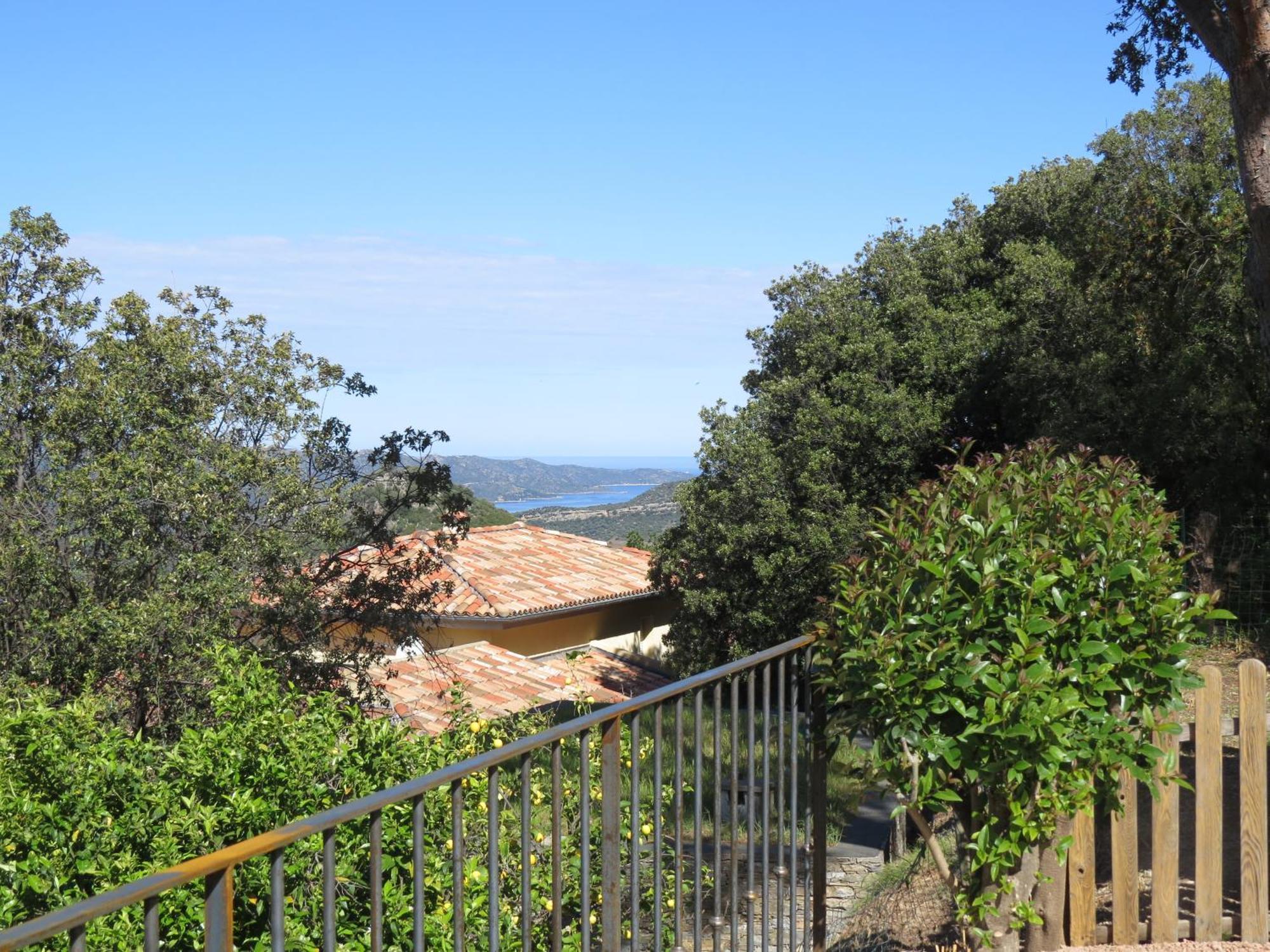 Carpediem_Corsica Poggio-d'Oletta Екстериор снимка