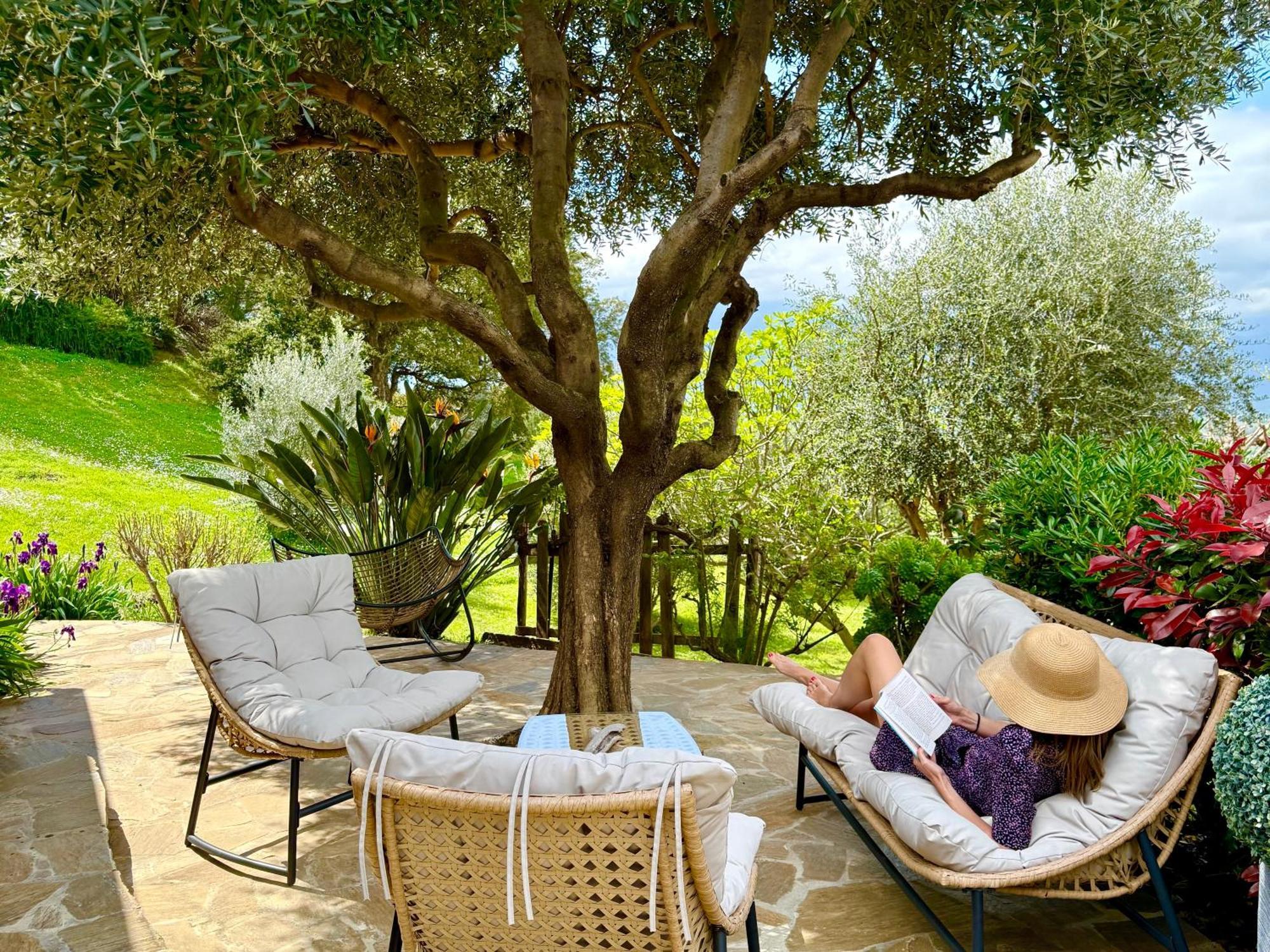 Carpediem_Corsica Poggio-d'Oletta Екстериор снимка